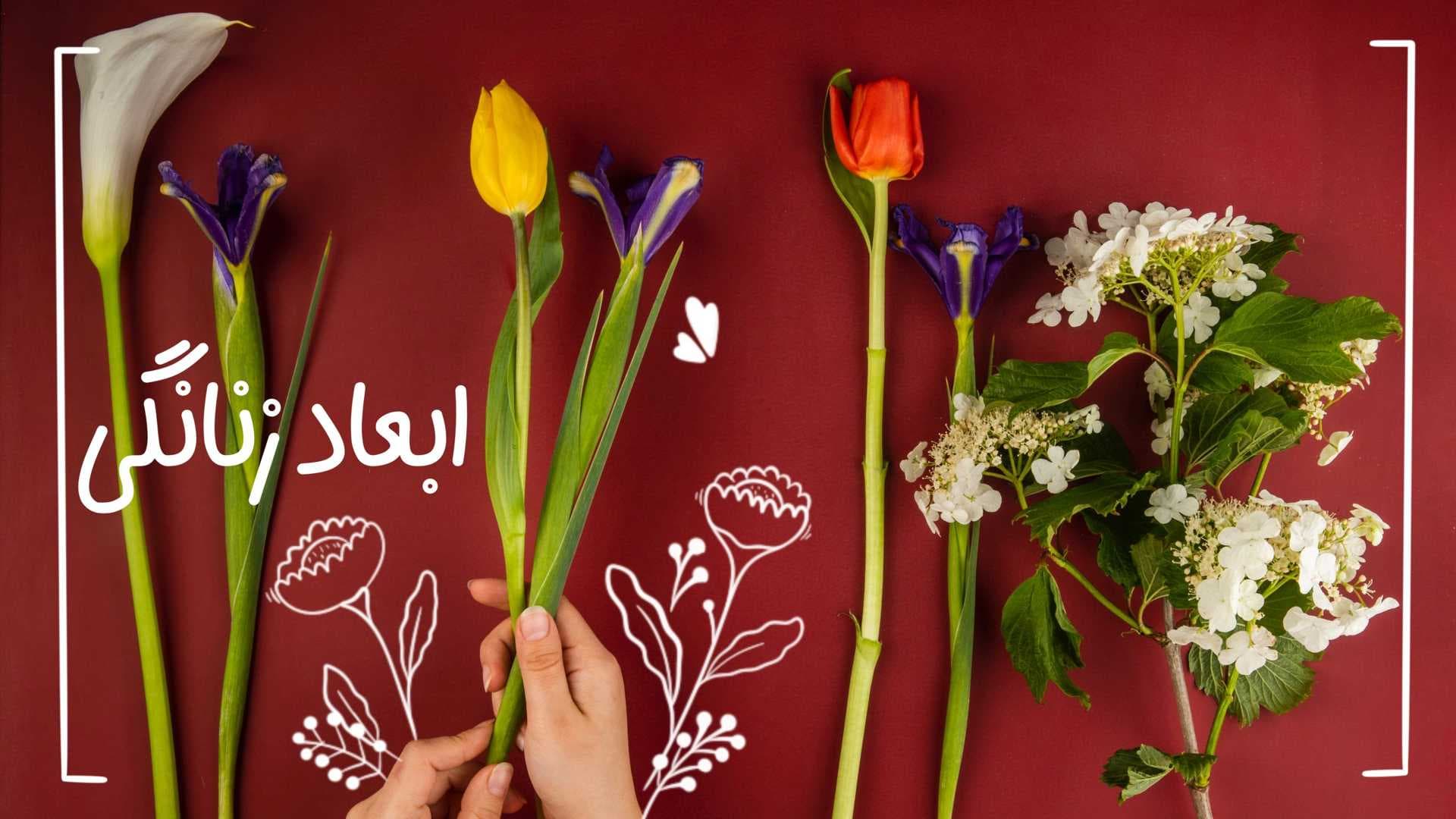 ابعاد زنانگی
