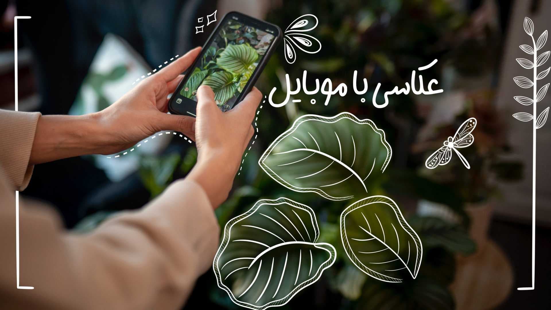 عکاسی با موبایل